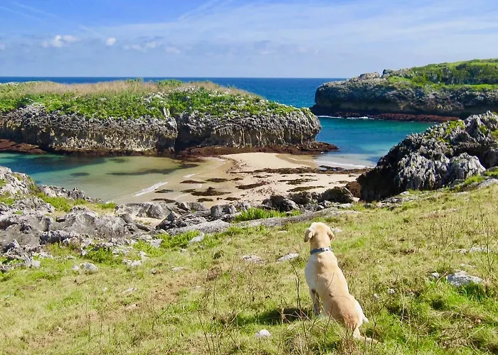 Apartamento Rurales El Llagar De Cue Llanes